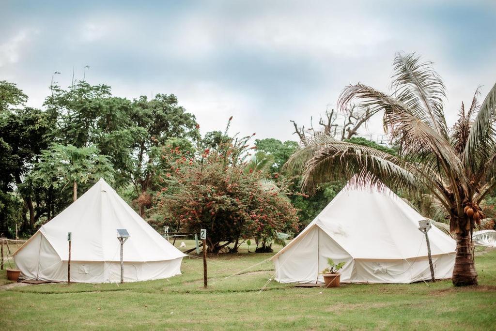 เลอ ไลฟ์ รีสอร์ต Hotel Epule ภายนอก รูปภาพ